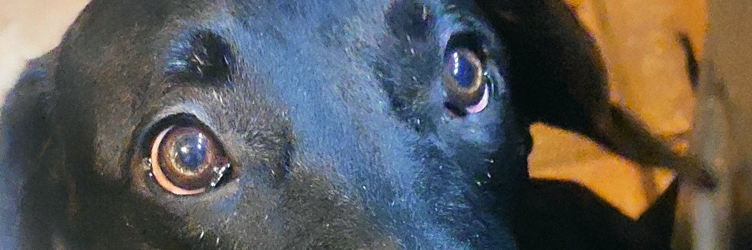 profegodoy's profile banner image
