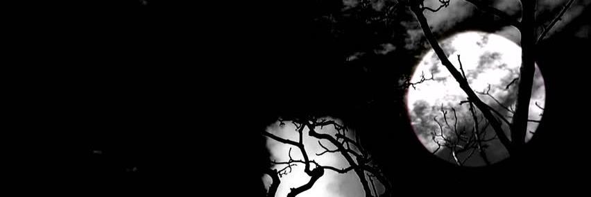 unflinching_d's profile banner image
