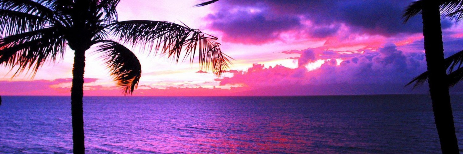 pleaseburgercheese banner