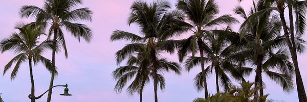 deedeeyorek Profile Banner