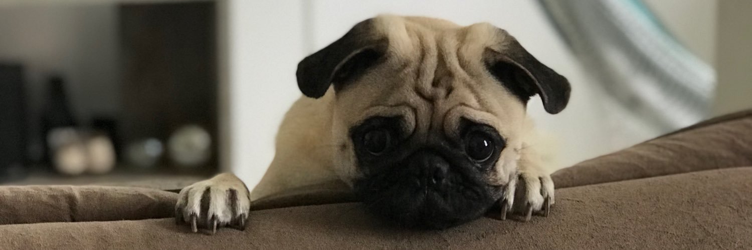 Vinilimac's profile banner image