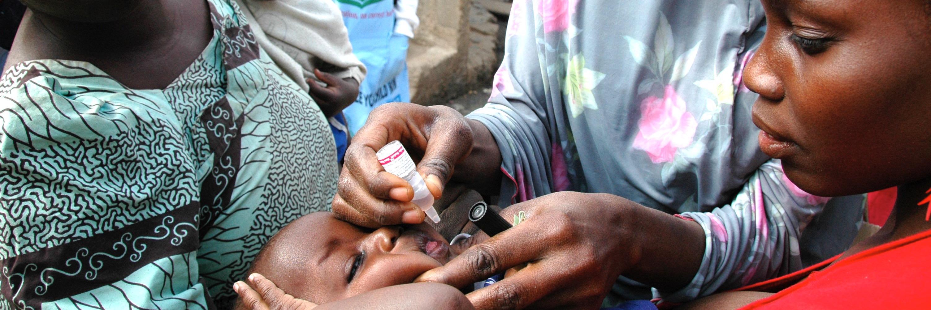 Ann Lee Hussey banner