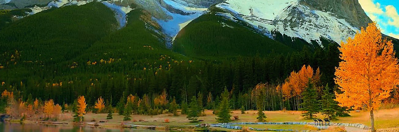 Eelseopie's profile banner image