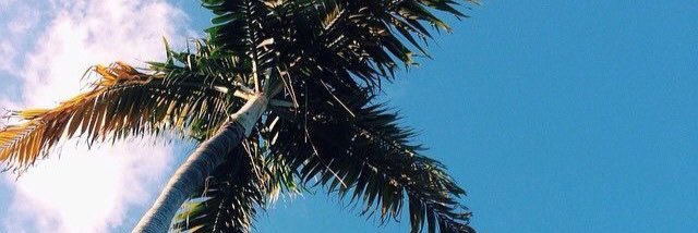 Flo____1's profile banner image
