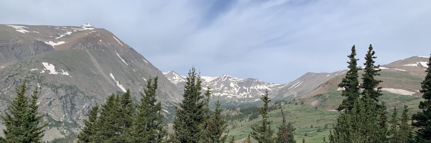 Megan Perkins banner