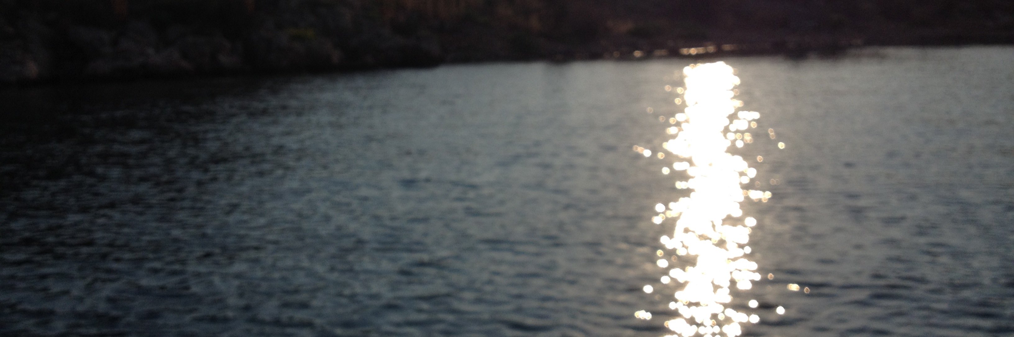 Dilnihat01's profile banner image