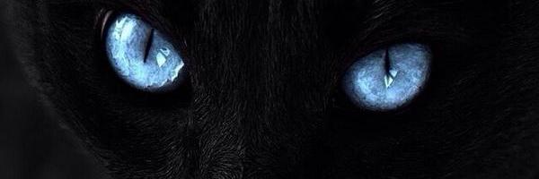 daphneH87's profile banner image
