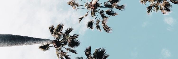 BerkCRL's profile banner image