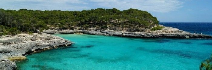 ✘ Robert ✘ banner