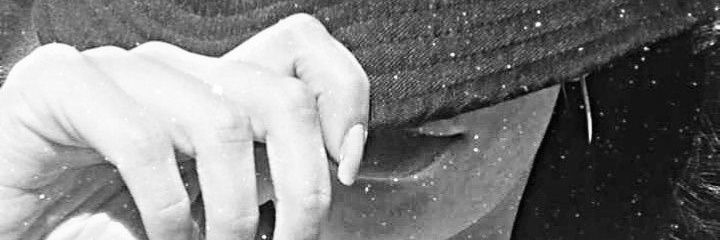 narchi96's profile banner image