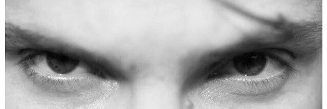 evaschnitzel's profile banner image