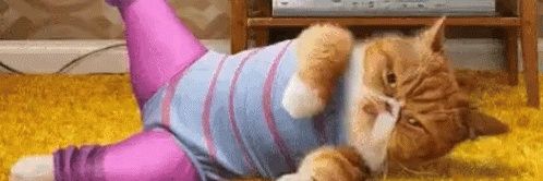 Marina Johnson banner