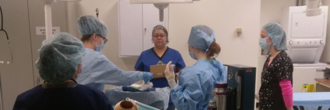 ASD Career & Tech Ed banner