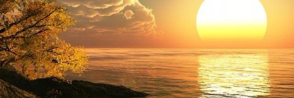 ALI_CAN_61's profile banner image