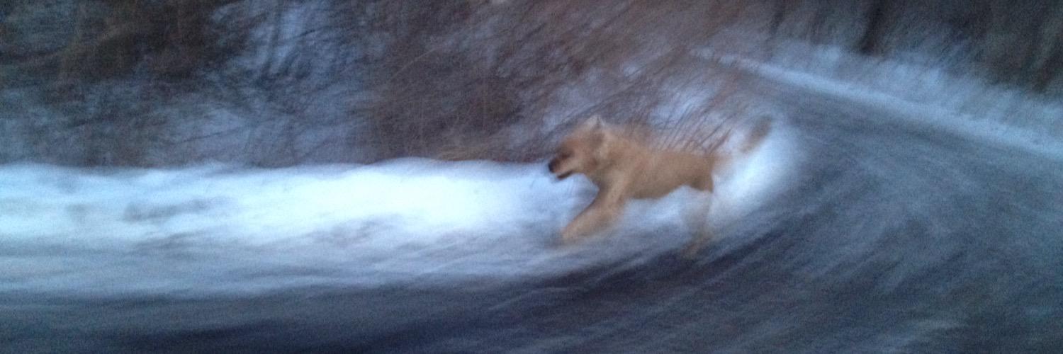 Lead by Example banner