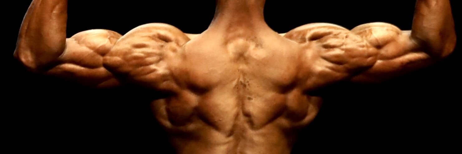 RealKingLeonard's profile banner image