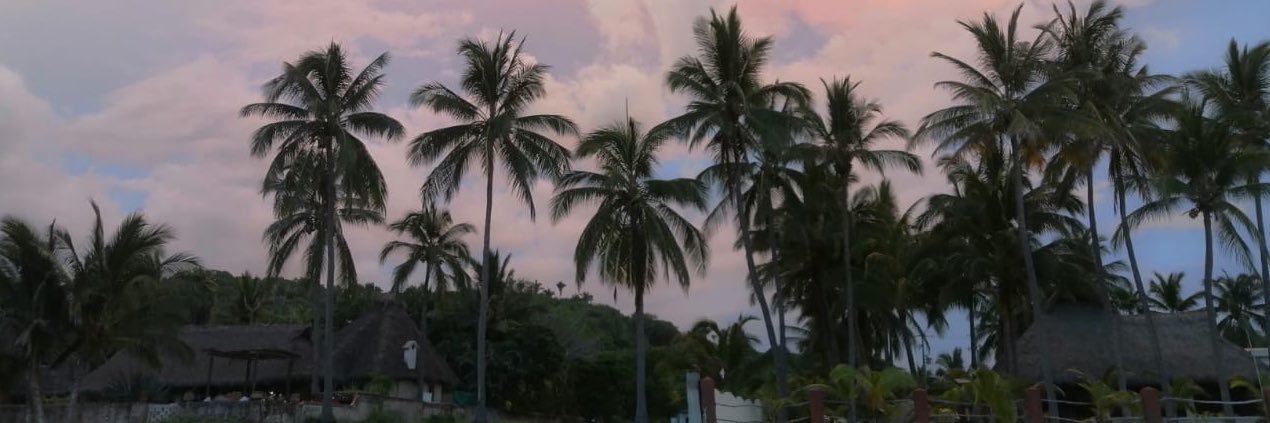 Don_Chema_'s profile banner image