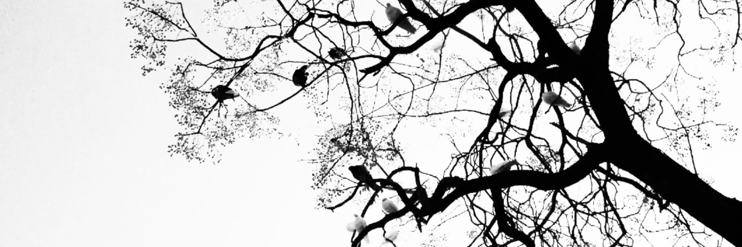 La Córdoba ® banner