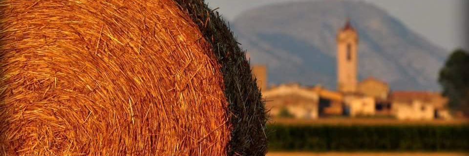 AdriSabater7's profile banner image