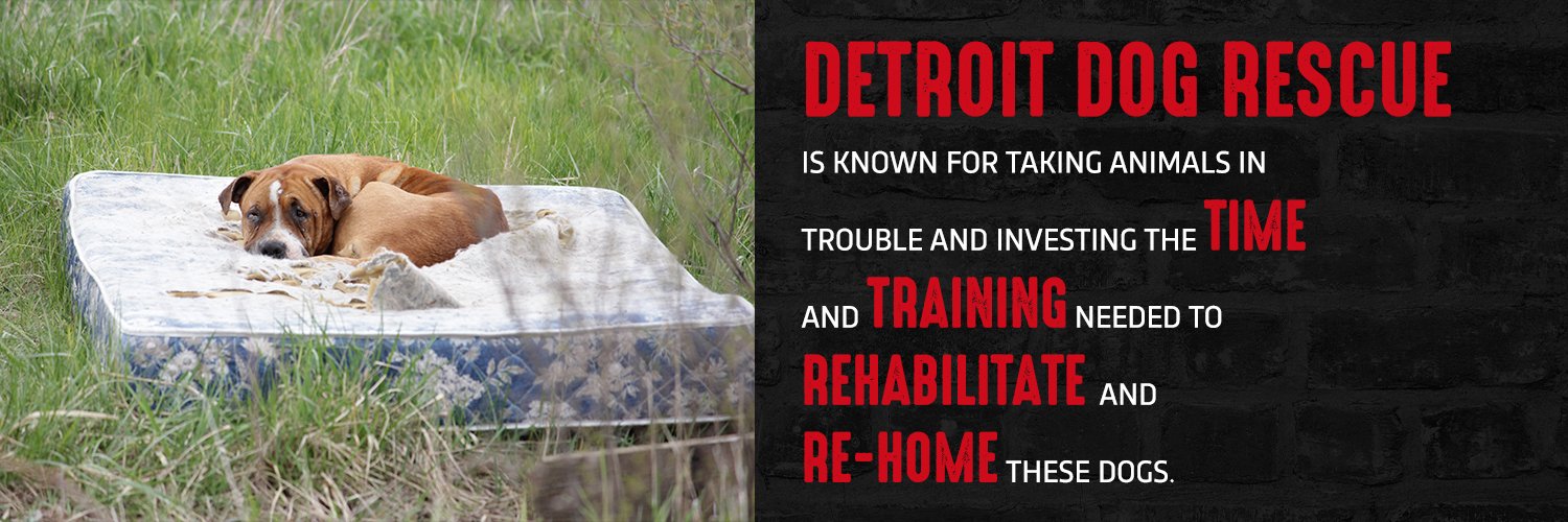 Detroit Dog Rescue banner