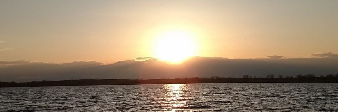 BurmesterTyler's profile banner image