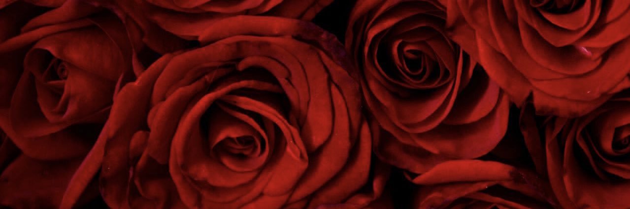 MemorieIvory's profile banner image