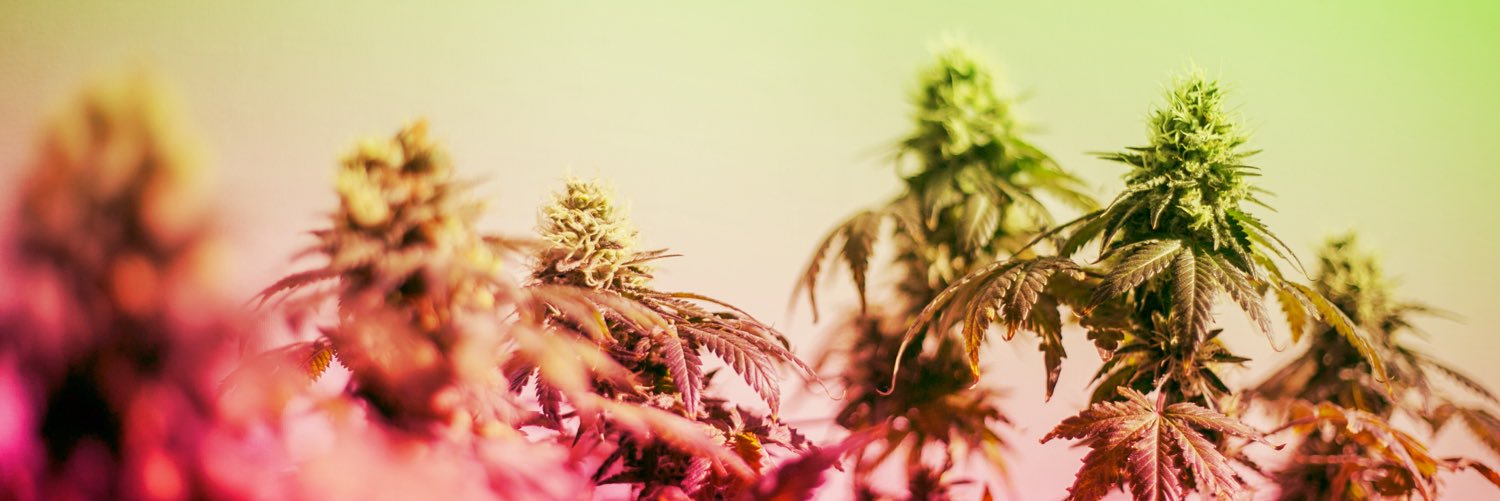 highend_med's profile banner image