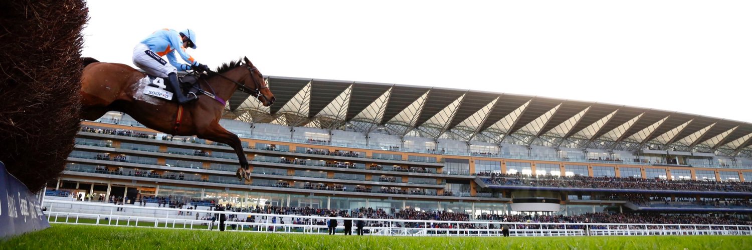 O'Connell Group banner