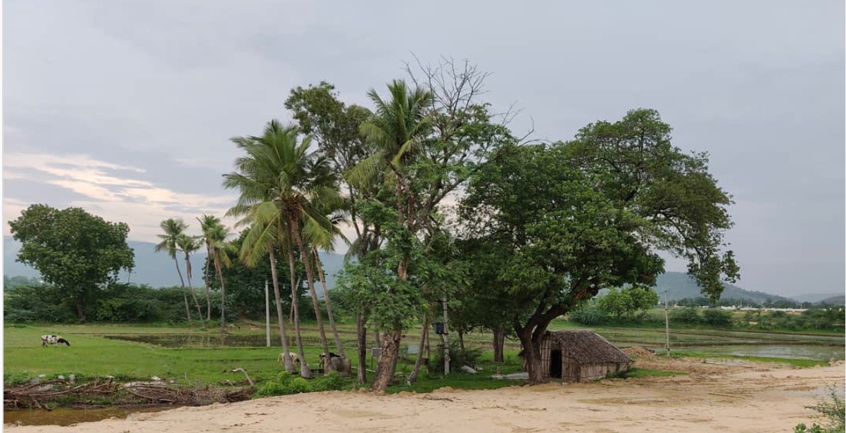 VeerChand Bothra banner