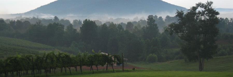 Surry County Economic Development Partnership banner