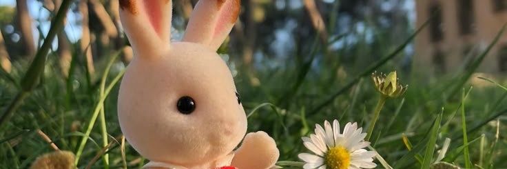N_Ox97's profile banner image