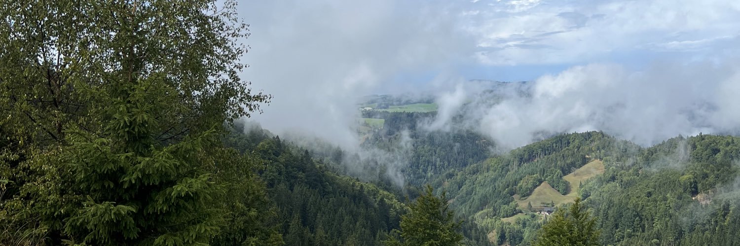 CompanyLorena's profile banner image