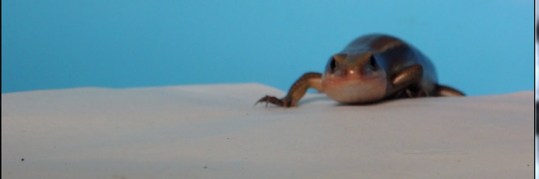 considerethics's profile banner image