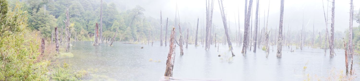 Loretomussa's profile banner image