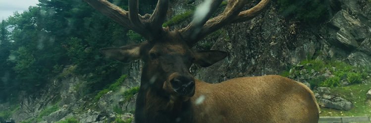 jacklynnottawa's profile banner image
