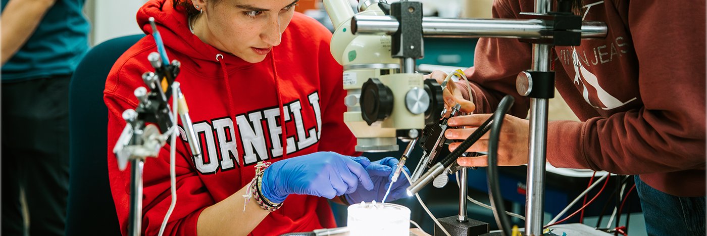 Cornell Biomedical Engineering banner