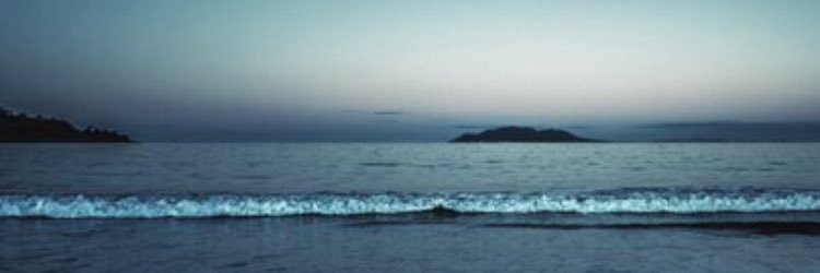 Emma banner