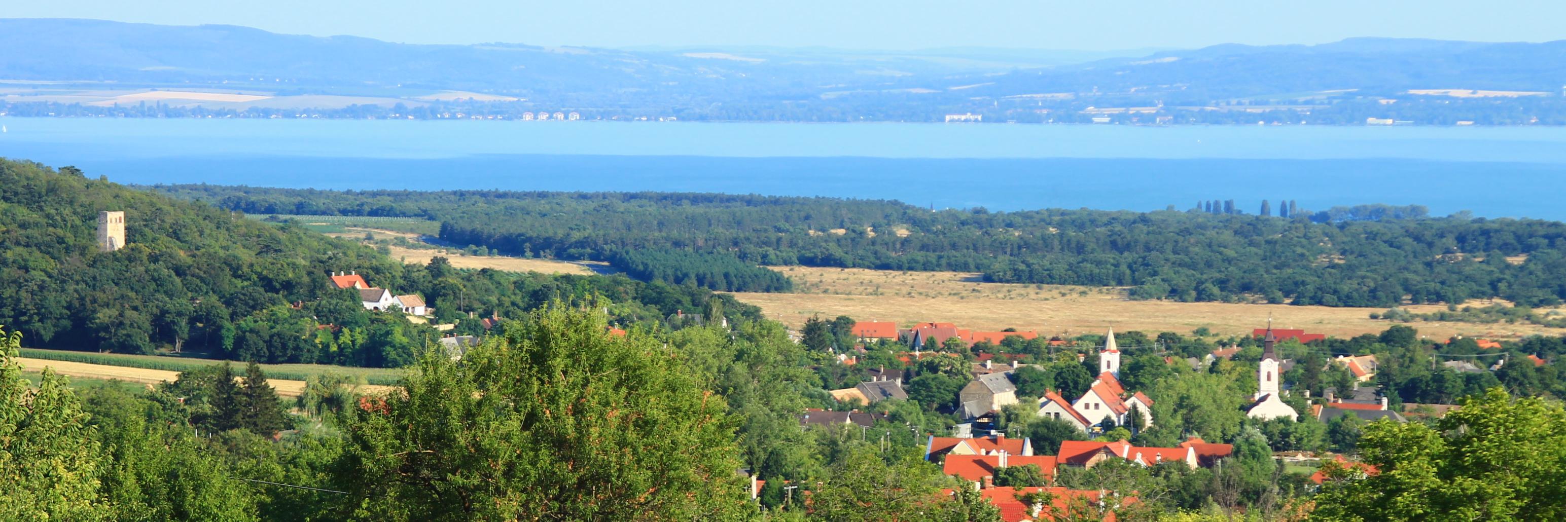 horvath_aron's profile banner image