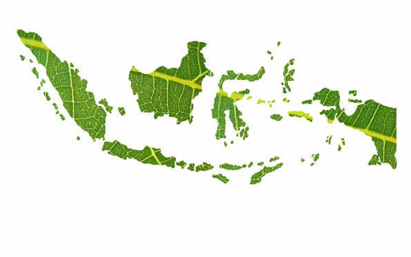 satu_ID's profile banner image