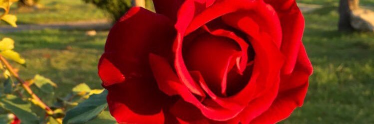 JChainet's profile banner image