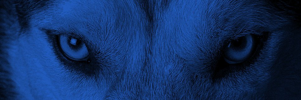 NVanWolfPack's profile banner image