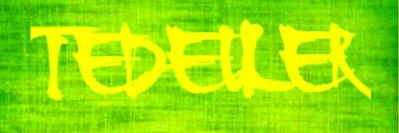 TedEuler banner
