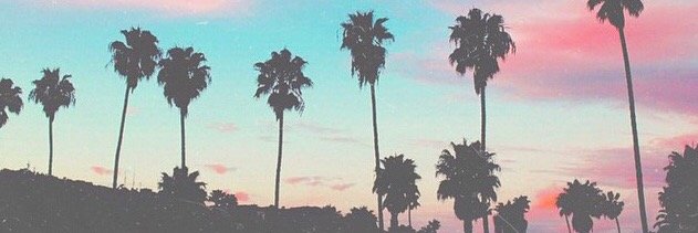 amberbolli's profile banner image