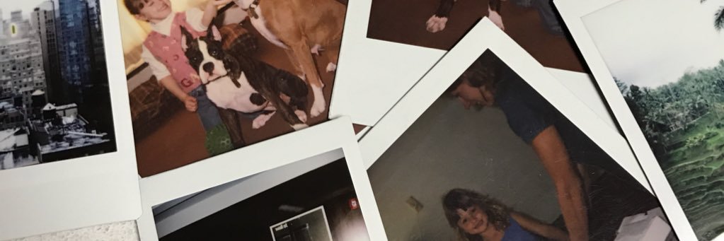 alyssa_holmes's profile banner image