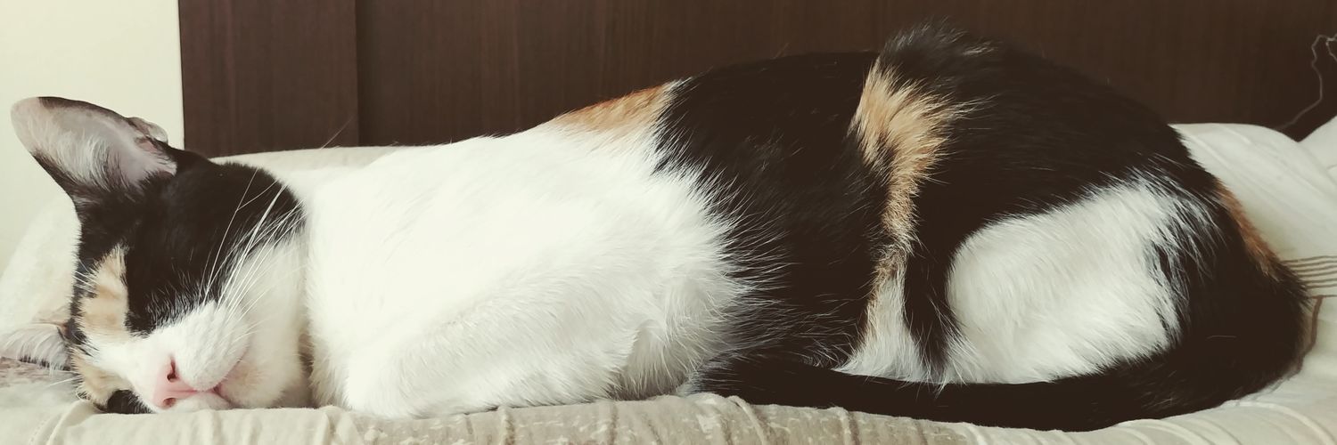MabyLand's profile banner image
