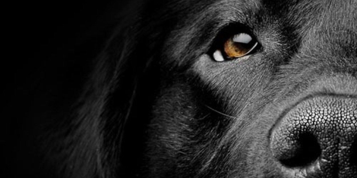 ColbyGathers's profile banner image