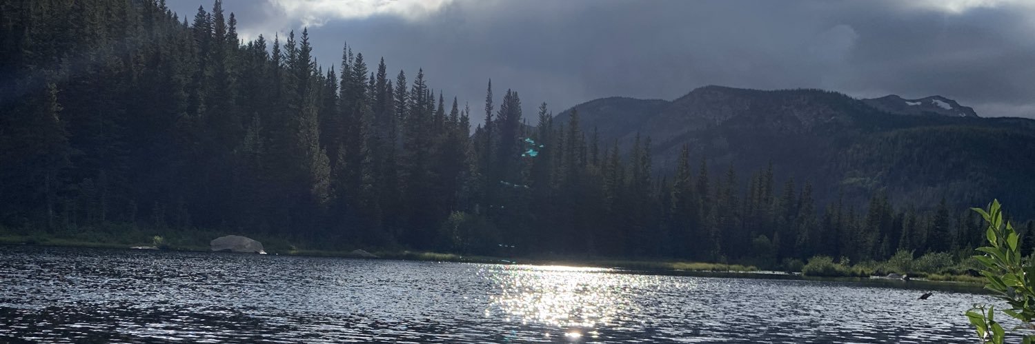 CarrieCJensen's profile banner image