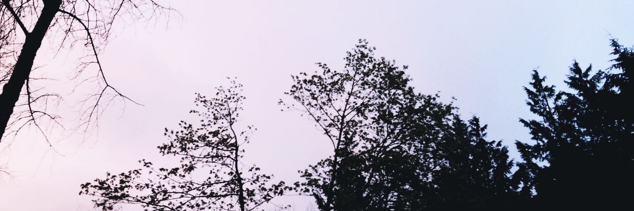 _kathreid's profile banner image