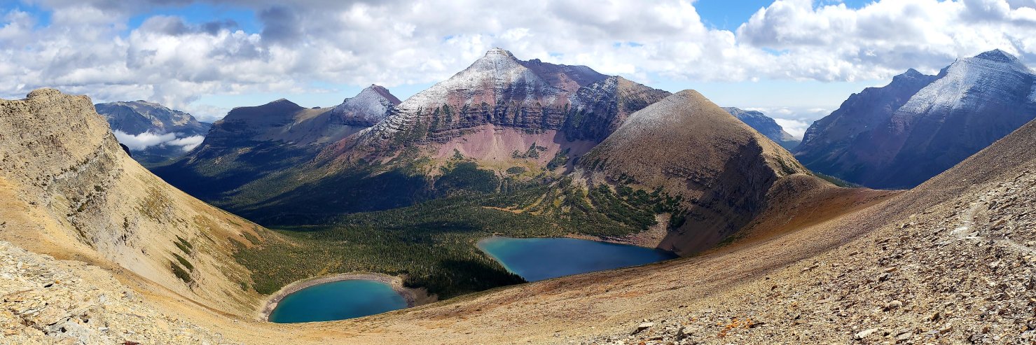 Alan McCormick banner