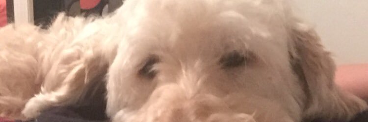 sav_lyon's profile banner image
